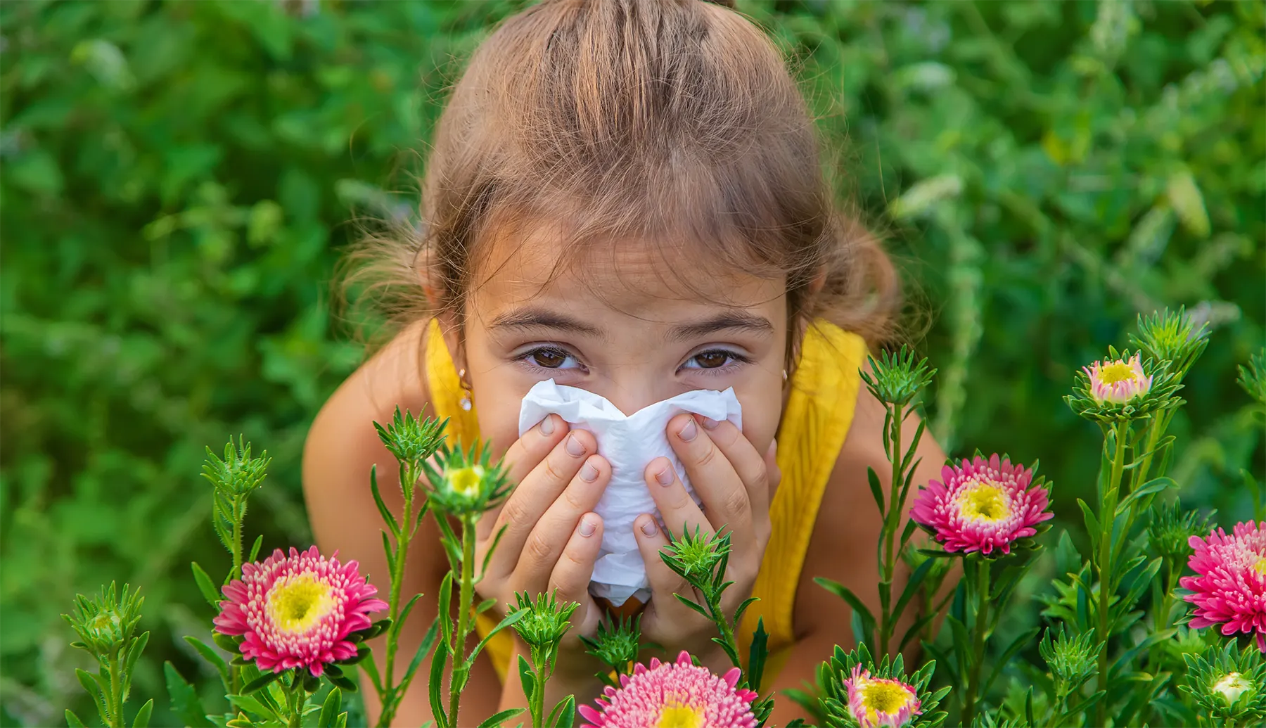 A child reacting to a seasonal allergy to flowers blowing her nose.